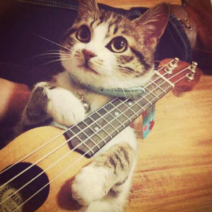 玩爽japanese性妇
